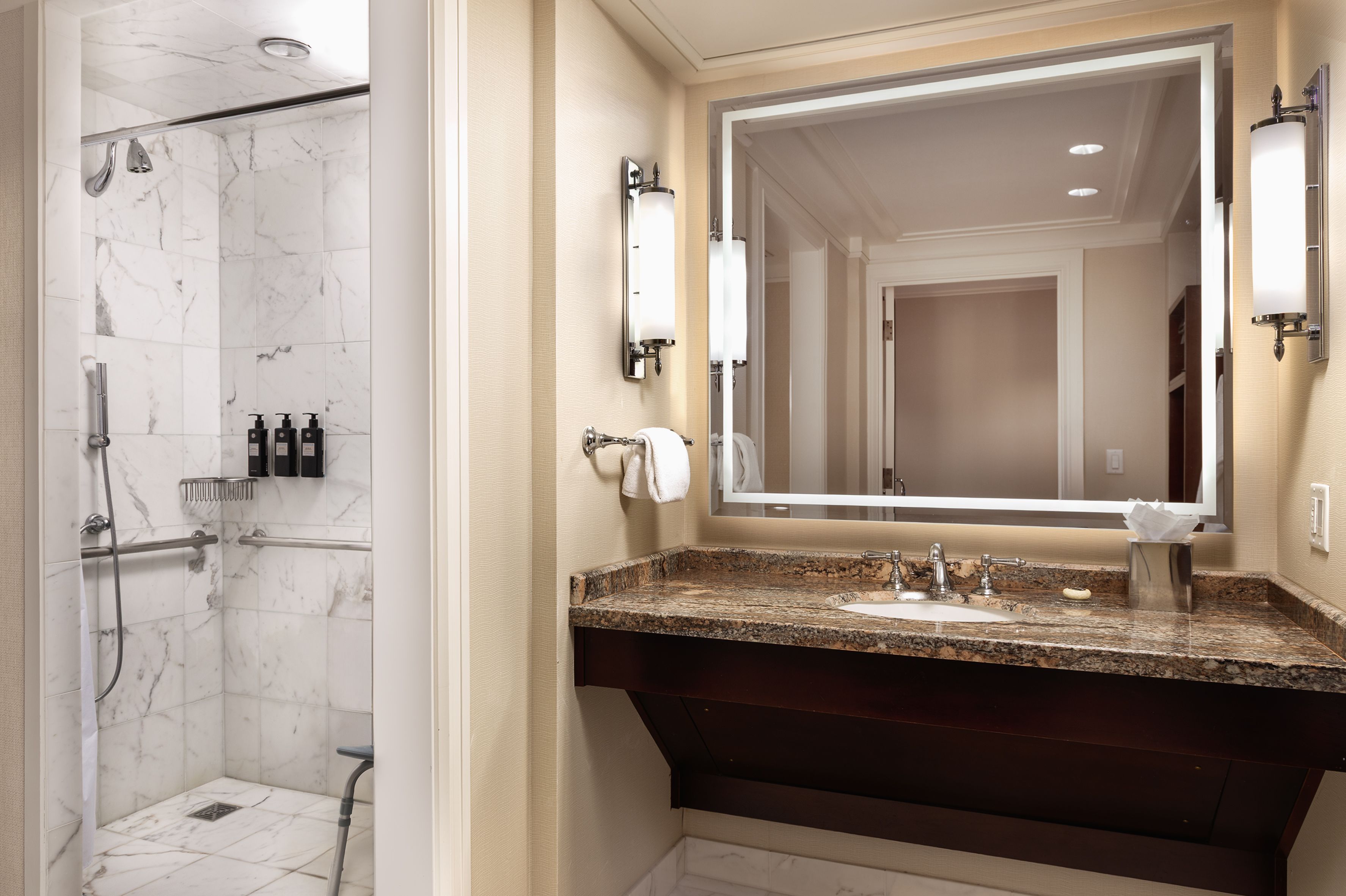 Accessible Room bathroom